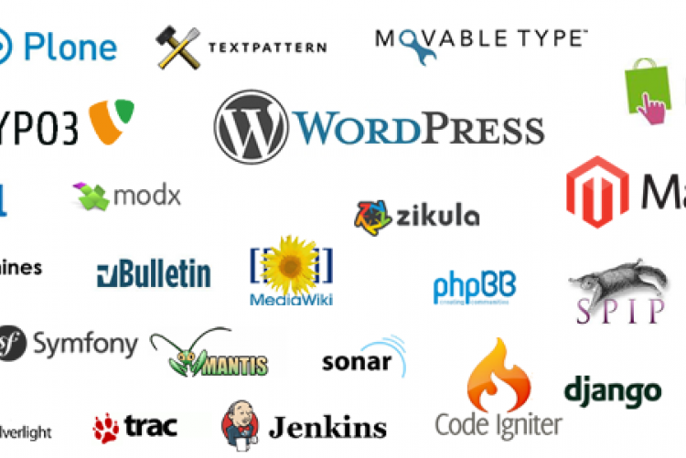 Web content management Web content management